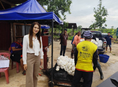 ติดตามการดำเนินธุรกิจรวบรวมยางพารากลุ่มเกษตรกรทำสวนยางตำบลไร่สีสุก ... พารามิเตอร์รูปภาพ 5